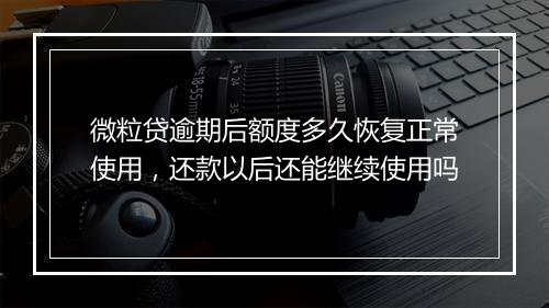 微粒贷逾期后额度多久恢复正常使用，还款以后还能继续使用吗