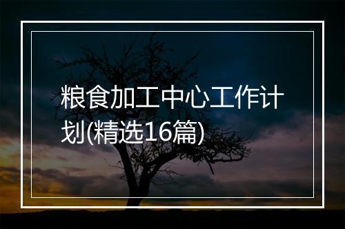 粮食加工中心工作计划(精选16篇)