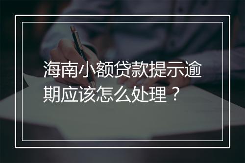 海南小额贷款提示逾期应该怎么处理？