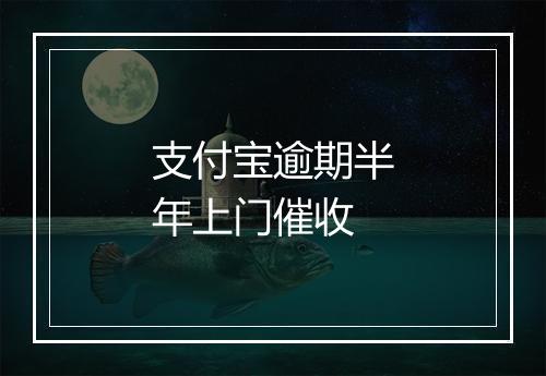 支付宝逾期半年上门催收