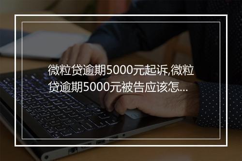 微粒贷逾期5000元起诉,微粒贷逾期5000元被告应该怎么辩护