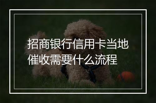 招商银行信用卡当地催收需要什么流程