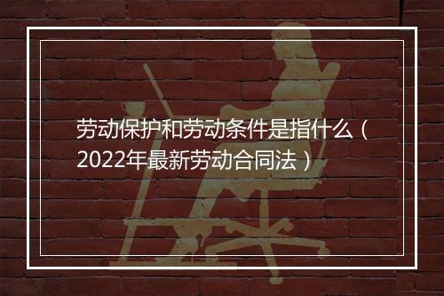 劳动保护和劳动条件是指什么（2022年最新劳动合同法）