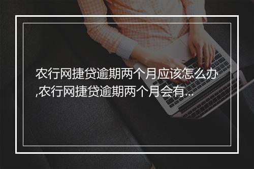 农行网捷贷逾期两个月应该怎么办,农行网捷贷逾期两个月会有什么后果