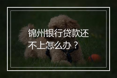 锦州银行贷款还不上怎么办？