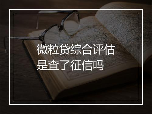 微粒贷综合评估是查了征信吗