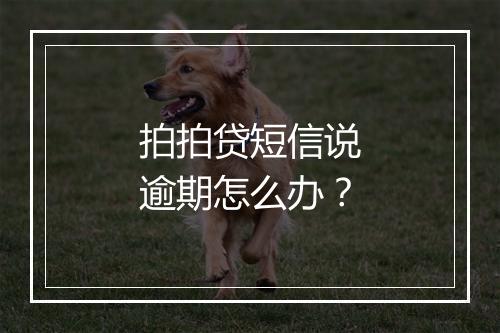 拍拍贷短信说逾期怎么办？