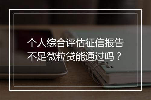 个人综合评估征信报告不足微粒贷能通过吗？