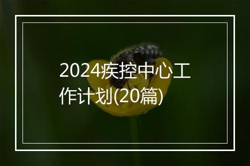 2024疾控中心工作计划(20篇)