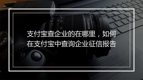 支付宝查企业的在哪里，如何在支付宝中查询企业征信报告