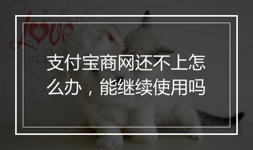 支付宝商网还不上怎么办，能继续使用吗
