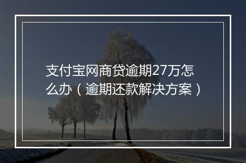 支付宝网商贷逾期27万怎么办（逾期还款解决方案）