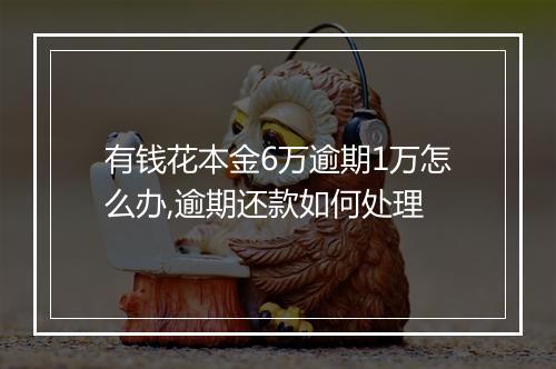 有钱花本金6万逾期1万怎么办,逾期还款如何处理