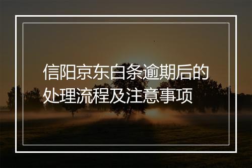 信阳京东白条逾期后的处理流程及注意事项