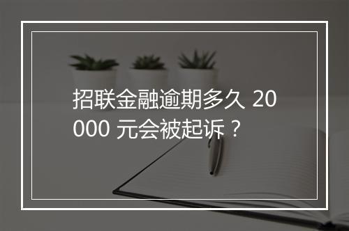 招联金融逾期多久 20000 元会被起诉？