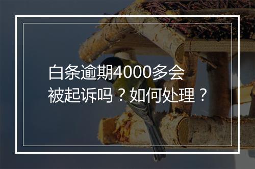 白条逾期4000多会被起诉吗？如何处理？