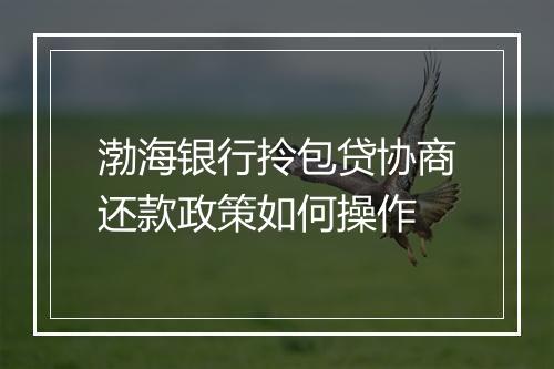 渤海银行拎包贷协商还款政策如何操作