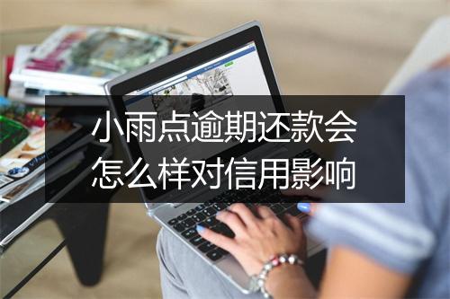 小雨点逾期还款会怎么样对信用影响