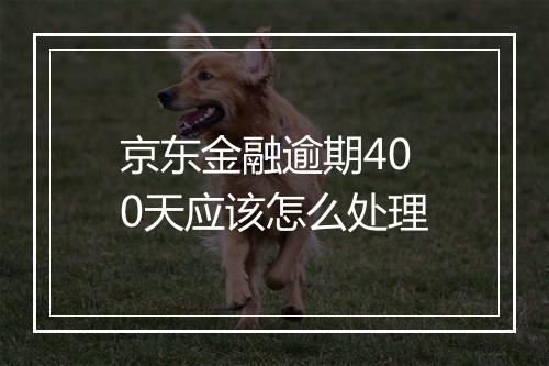 京东金融逾期400天应该怎么处理
