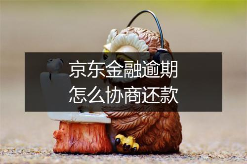 京东金融逾期怎么协商还款