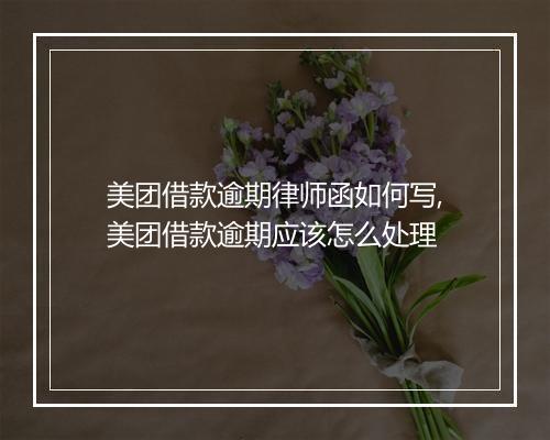 美团借款逾期律师函如何写,美团借款逾期应该怎么处理