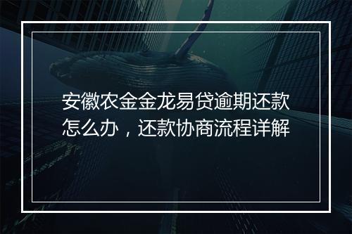 安徽农金金龙易贷逾期还款怎么办，还款协商流程详解
