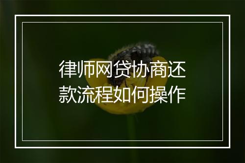 律师网贷协商还款流程如何操作