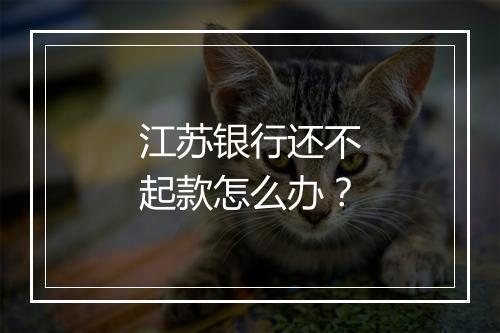江苏银行还不起款怎么办？