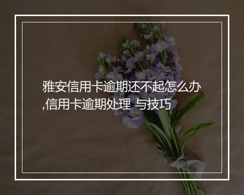 雅安信用卡逾期还不起怎么办,信用卡逾期处理 与技巧