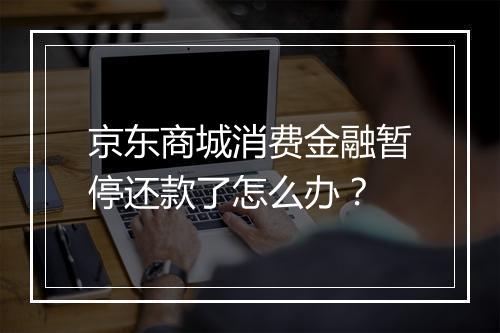 京东商城消费金融暂停还款了怎么办？