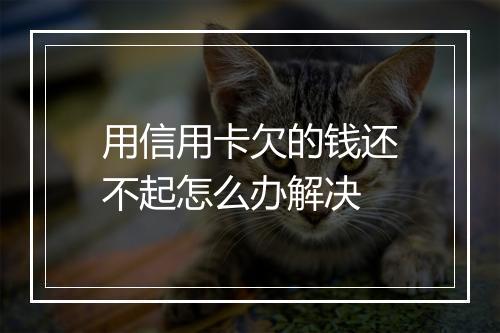用信用卡欠的钱还不起怎么办解决