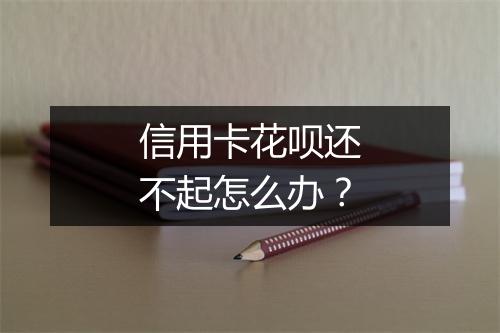 信用卡花呗还不起怎么办？