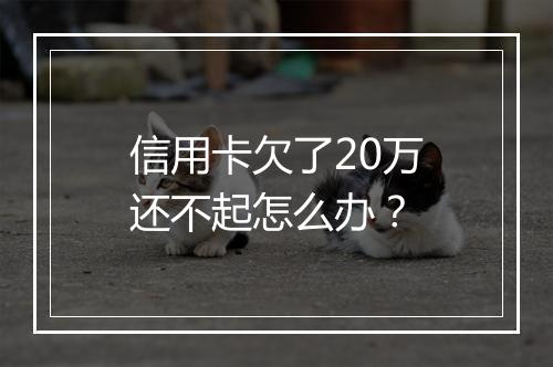 信用卡欠了20万还不起怎么办？