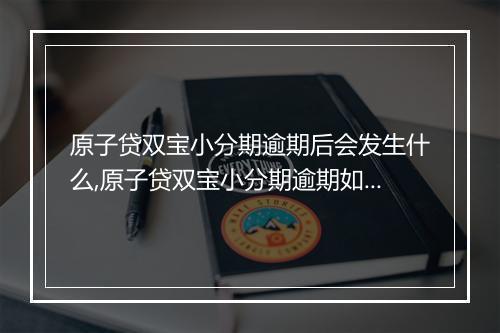 原子贷双宝小分期逾期后会发生什么,原子贷双宝小分期逾期如何处理