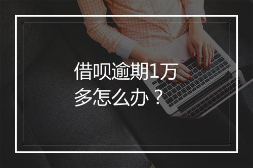 借呗逾期1万多怎么办？