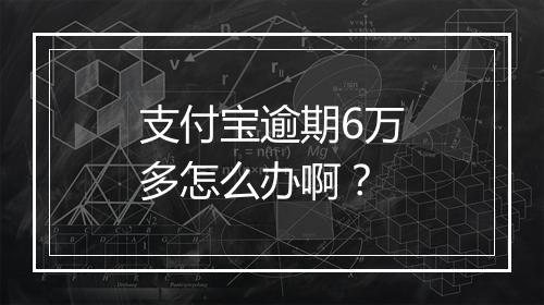 支付宝逾期6万多怎么办啊？