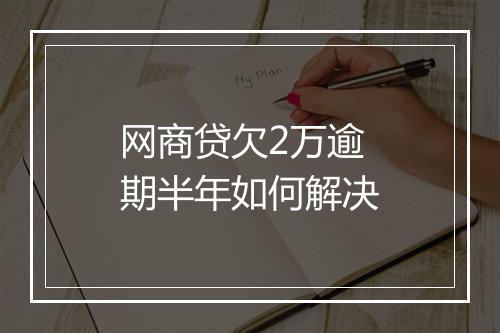 网商贷欠2万逾期半年如何解决