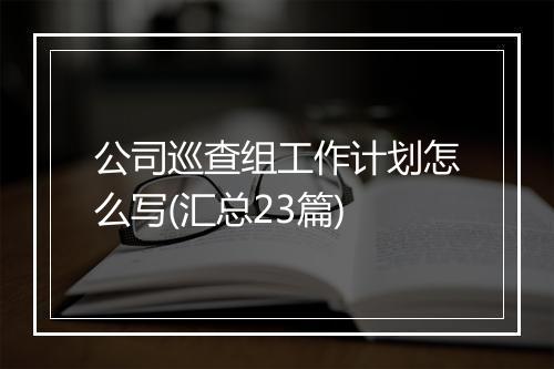公司巡查组工作计划怎么写(汇总23篇)