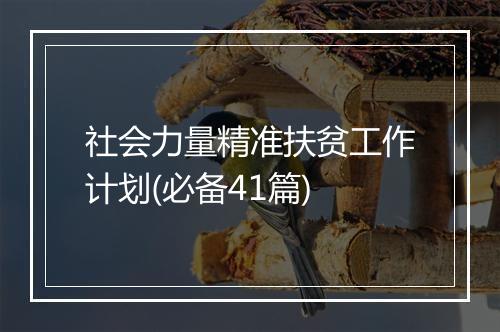 社会力量精准扶贫工作计划(必备41篇)