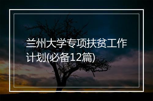 兰州大学专项扶贫工作计划(必备12篇)