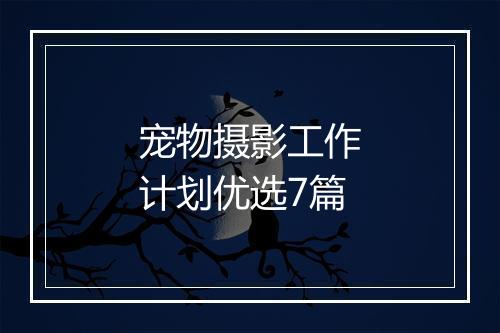 宠物摄影工作计划优选7篇