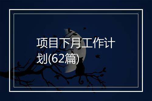 项目下月工作计划(62篇)