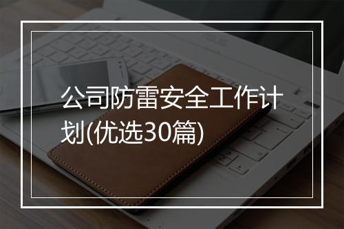 公司防雷安全工作计划(优选30篇)
