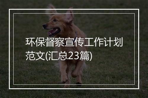 环保督察宣传工作计划范文(汇总23篇)