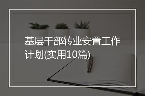 基层干部转业安置工作计划(实用10篇)