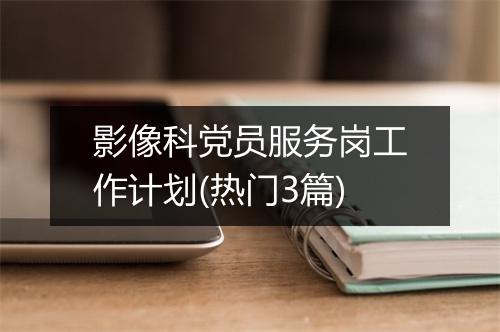 影像科党员服务岗工作计划(热门3篇)