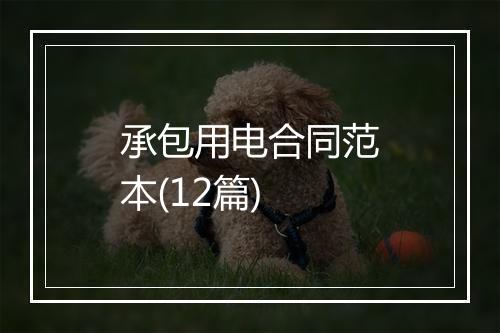 承包用电合同范本(12篇)