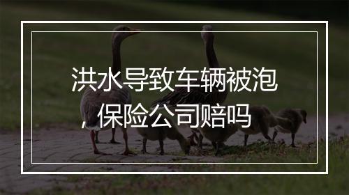 洪水导致车辆被泡，保险公司赔吗