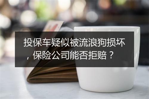 投保车疑似被流浪狗损坏，保险公司能否拒赔？