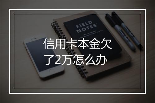信用卡本金欠了2万怎么办